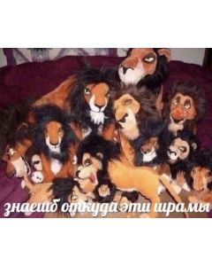 Test Custom Options #8