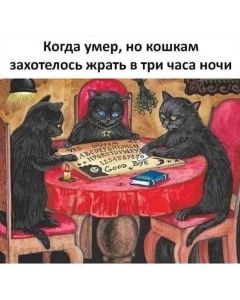 Test Custom Options #5