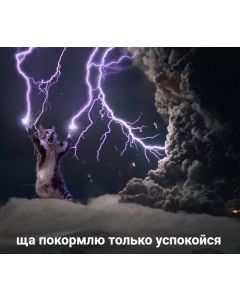 Test Customer Price #1