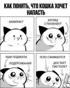 Bundle with regular and premium