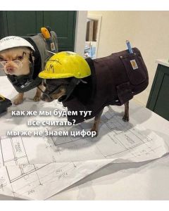 Test Custom Options #2