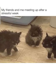 Test Print Gift Card