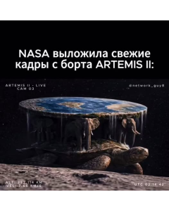 Test Custom Options #10